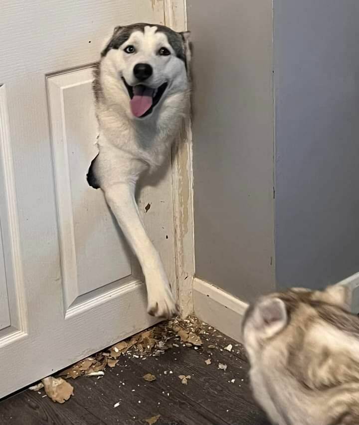 It wasn’t me… I swear!